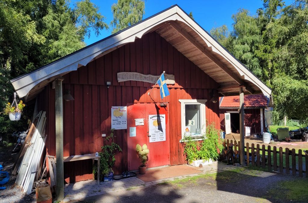 Tomta kalkon