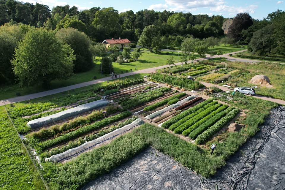 Ulleråker gård i Uppsala